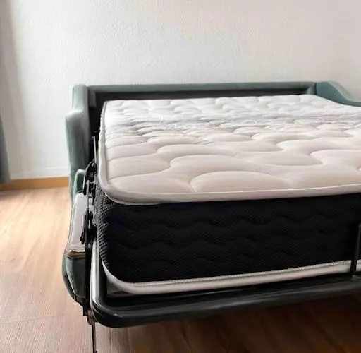 Cote Equipe Vue Sur Le Canigou