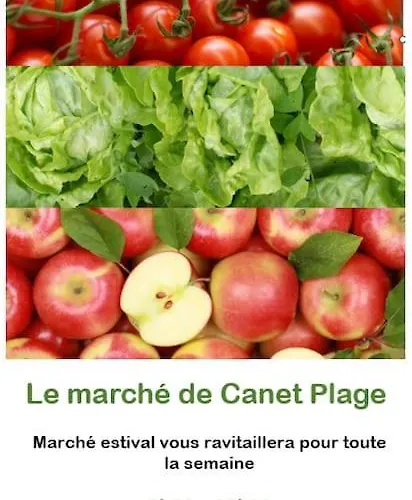 아파트 Cote Equipe Vue Sur Le Canigou *